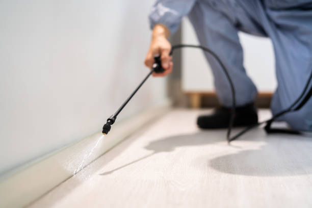 Licensed Pest Control service in Inman, KS - Show Me Pest Control