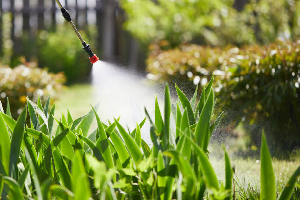 24/7 Emergency Ant Control experts in Inman, KS