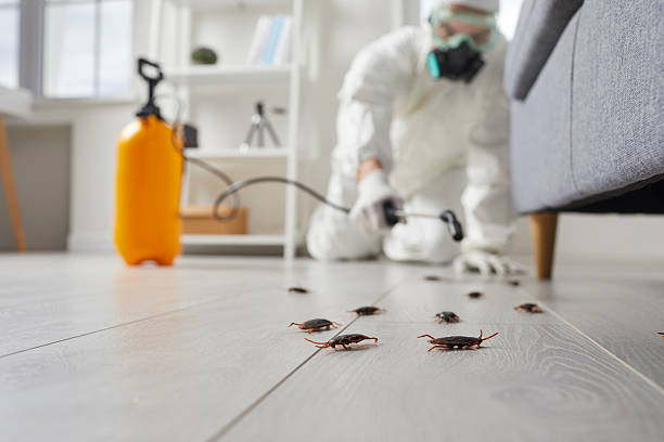 Affordable Ant Control solutions in Inman, KS